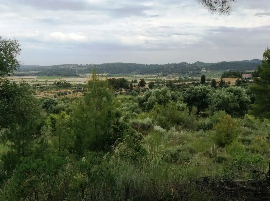 Rural land for sale in Horta de Sant Joan, imagen 6
