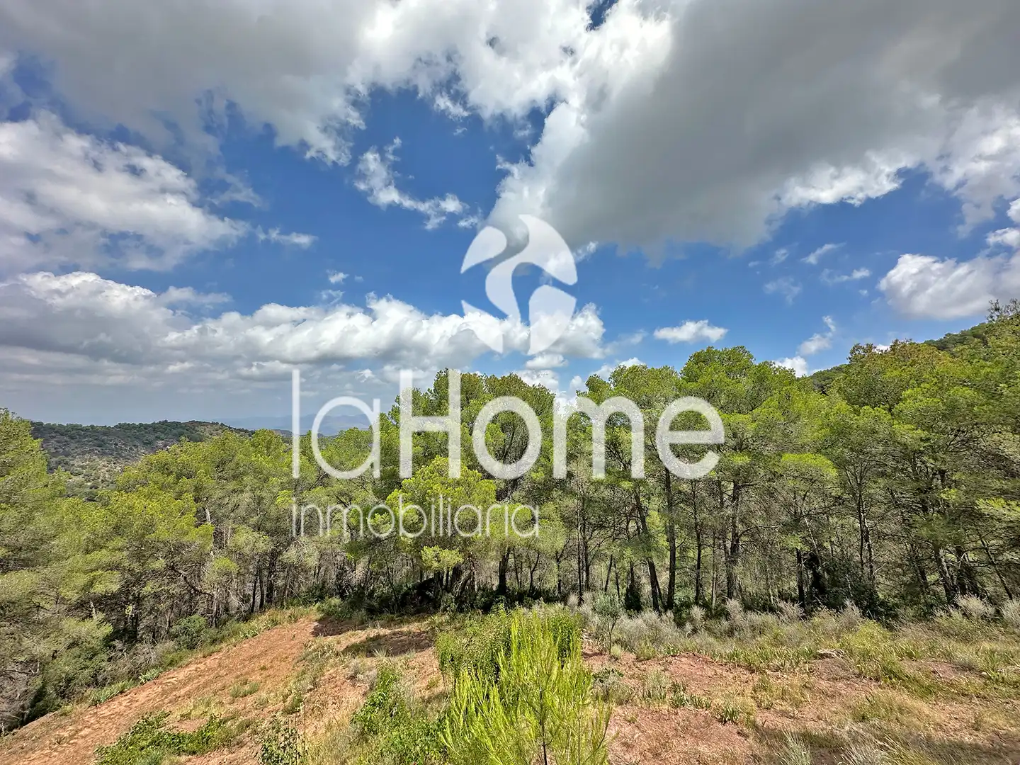 Finca rústica en venta en Estivella