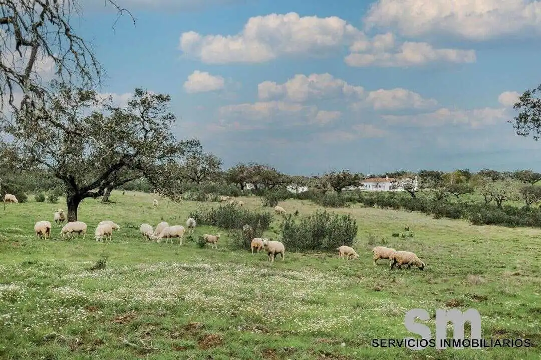 Residential zum Verkauf in Paymogo