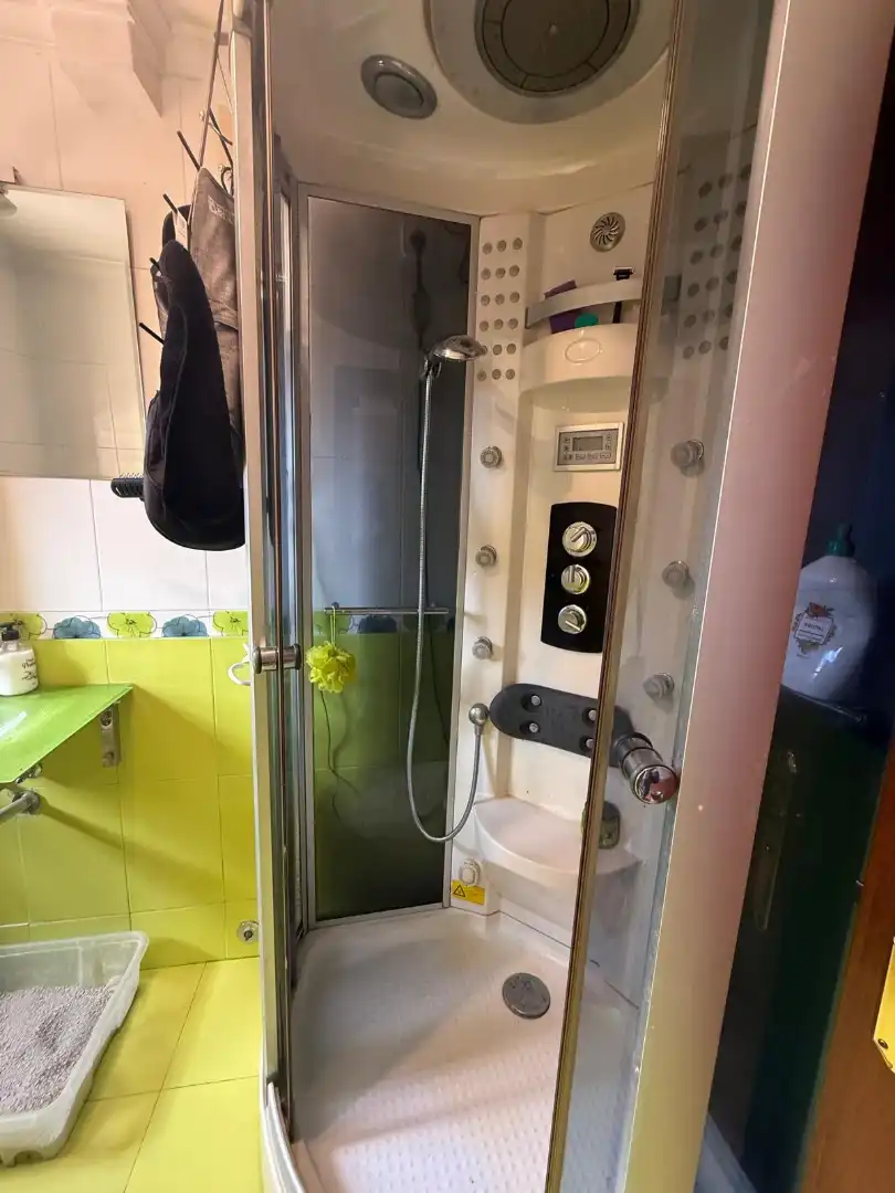 Bathroom of Detached homes for sale in La Felguera