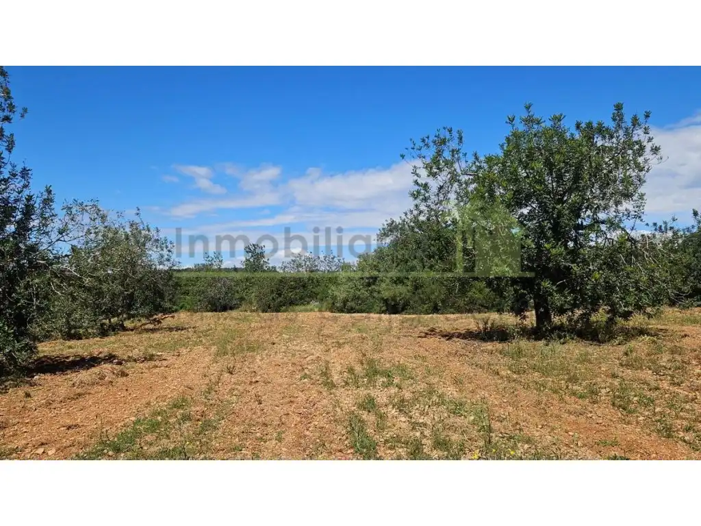 Terreny residencial en venda a Càlig, imagen 7