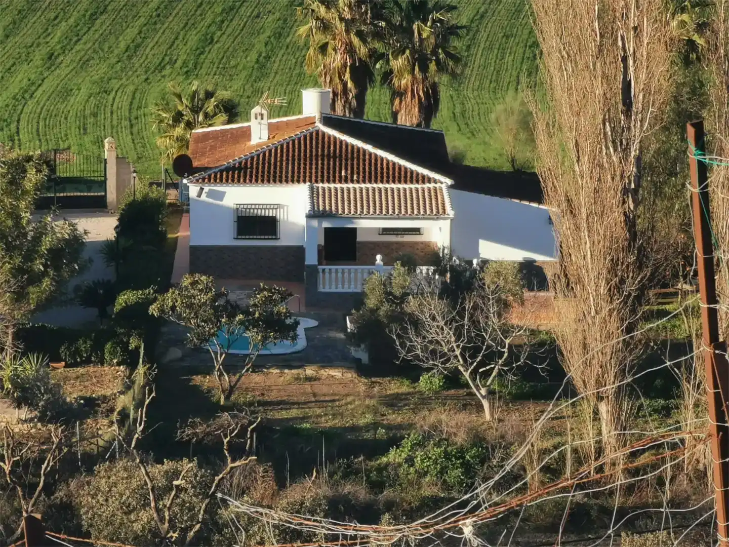 Vista exterior de Casa o xalet en venda en Olvera amb Aire condicionat, Jardí privat i Traster