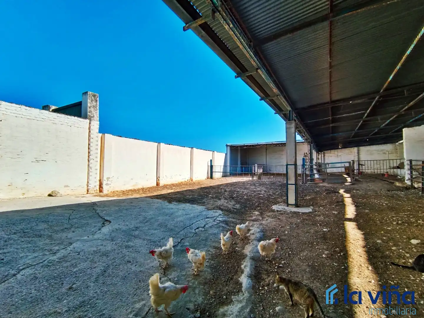 Terrenos y solares en venta en Alameda, imagen 7