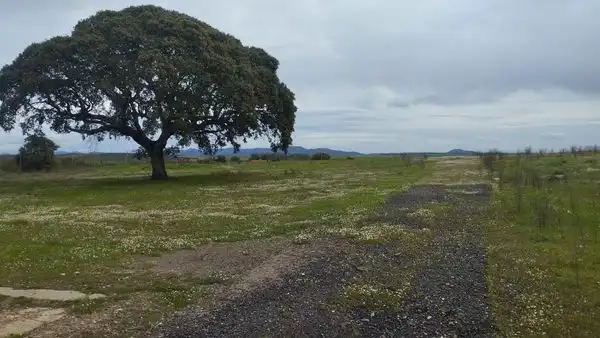 Terreno rustico in vendita a N/A, imagen 4