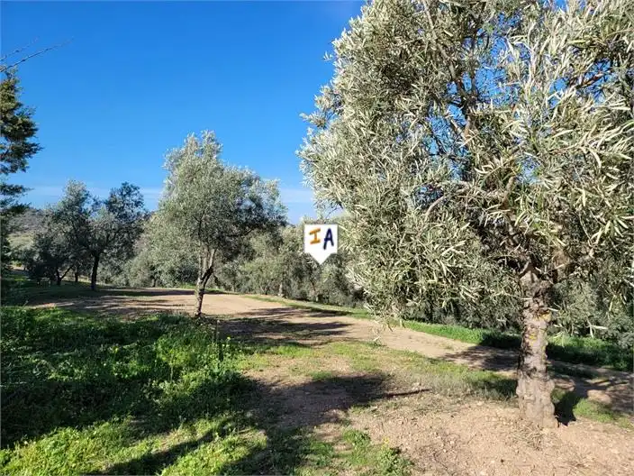 Country homes for sale in Osuna