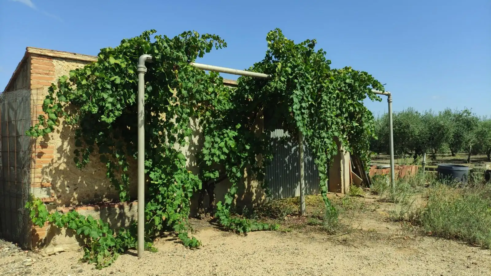 Finca rústica en venta en de les Hortes, Montbrió del Camp