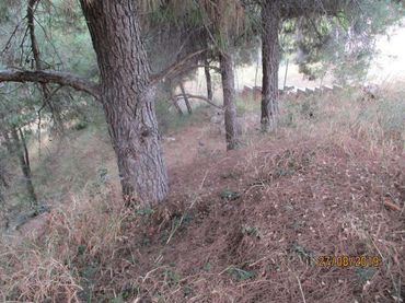 Terrenys i solars en venda a Jorba