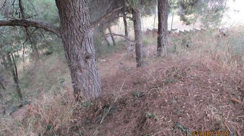 SOLAR EN VENDA A JORBA  PLA DE TORRUELLA