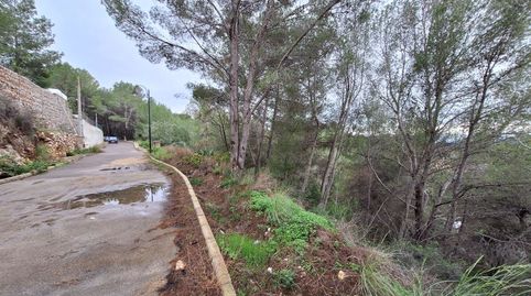PARCELAS URBANIZACIÓN SAN BERNARDO. URBANIZADAS, imatge 4