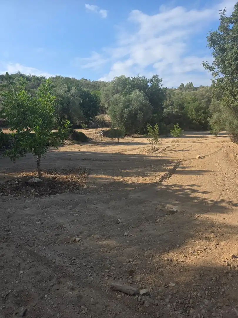 Terreno rústico en venta en Mas de Barberans, imagen 18