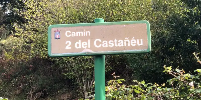 Terreno rustico in vendita a Camino DE LOS CIERROS-CALDONES, imagen 18