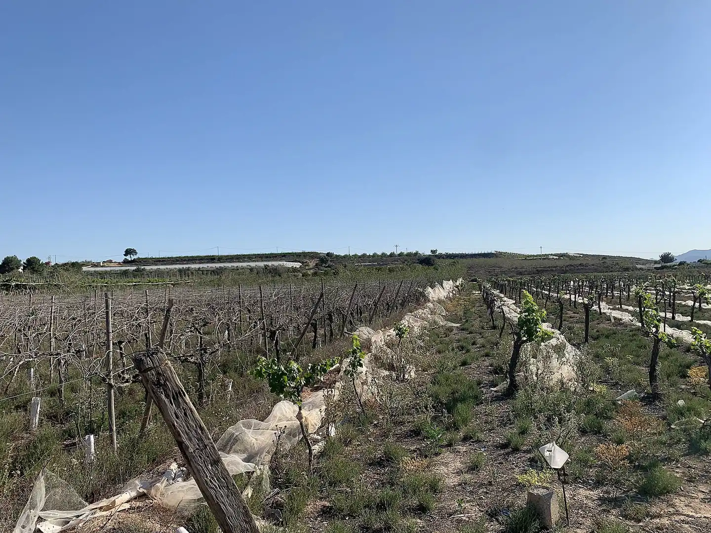 Terreno residencial en venta en Monforte del Cid, imagen 15