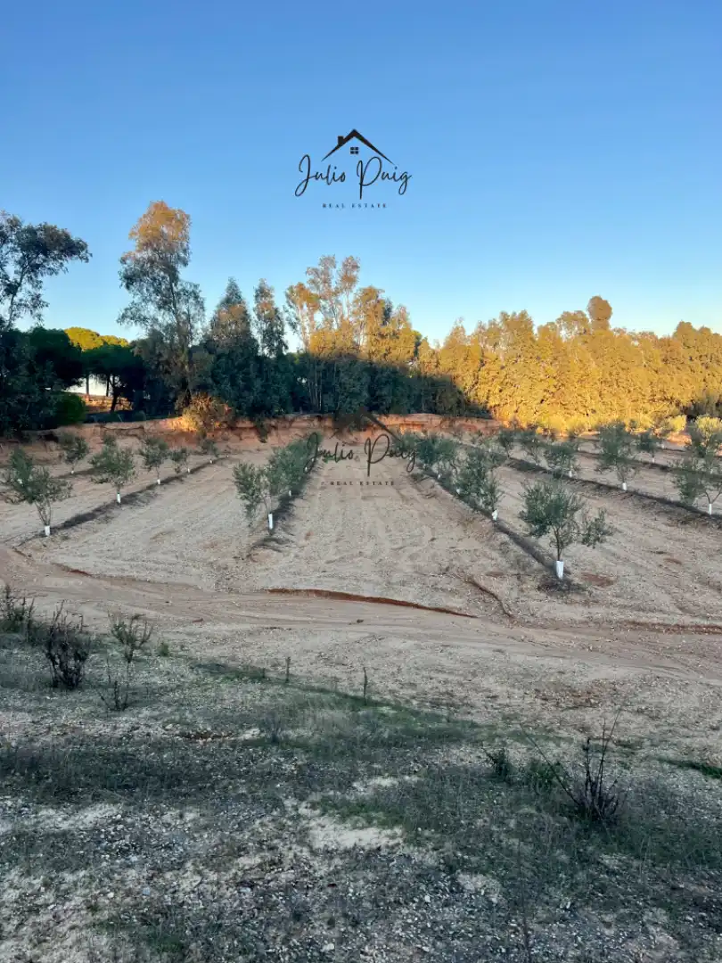 Terreni e lotti in vendita a La Puebla del Río, imagen 4