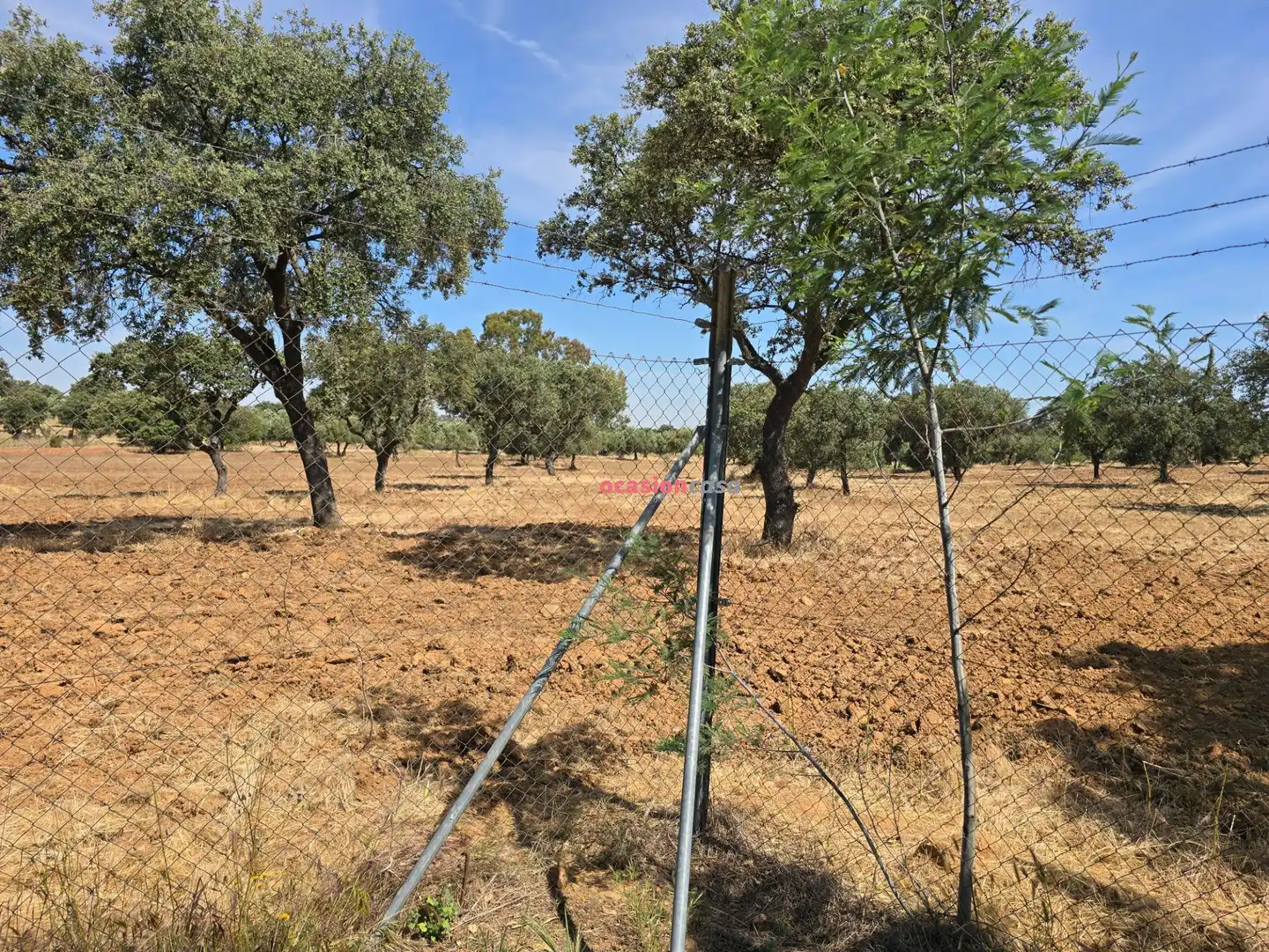 Casa o xalet en venda en Villanueva del Duque amb Jardí privat, Traster i Piscina