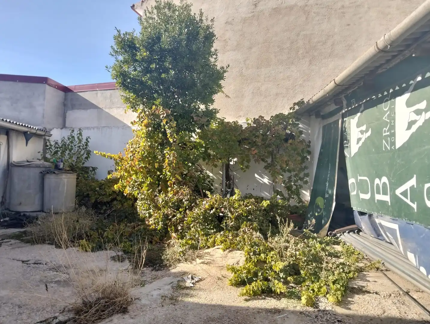 Maison à vendre à Lillo, imagen 15