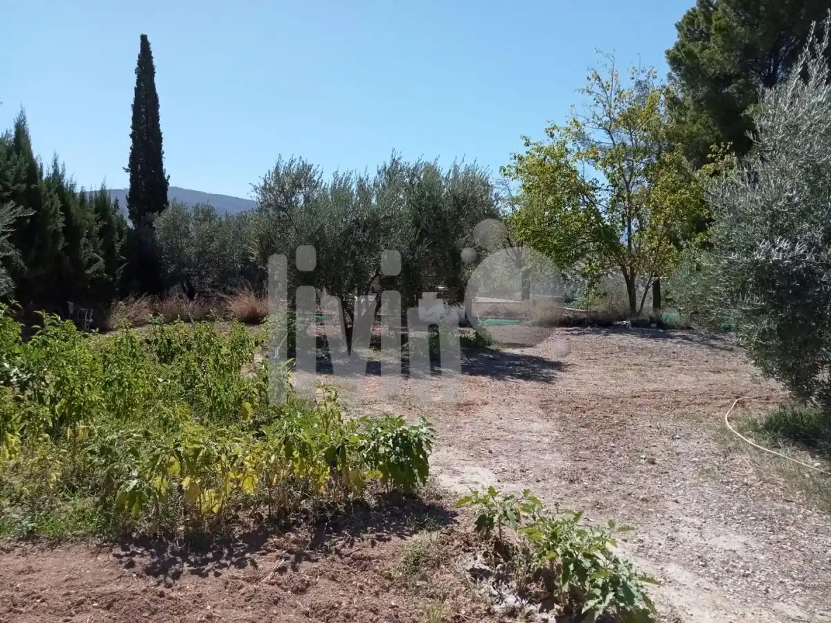 Terreni e lotti in vendita a Puente Tablas - Puente Nuevo - Cerro Molina, imagen 4