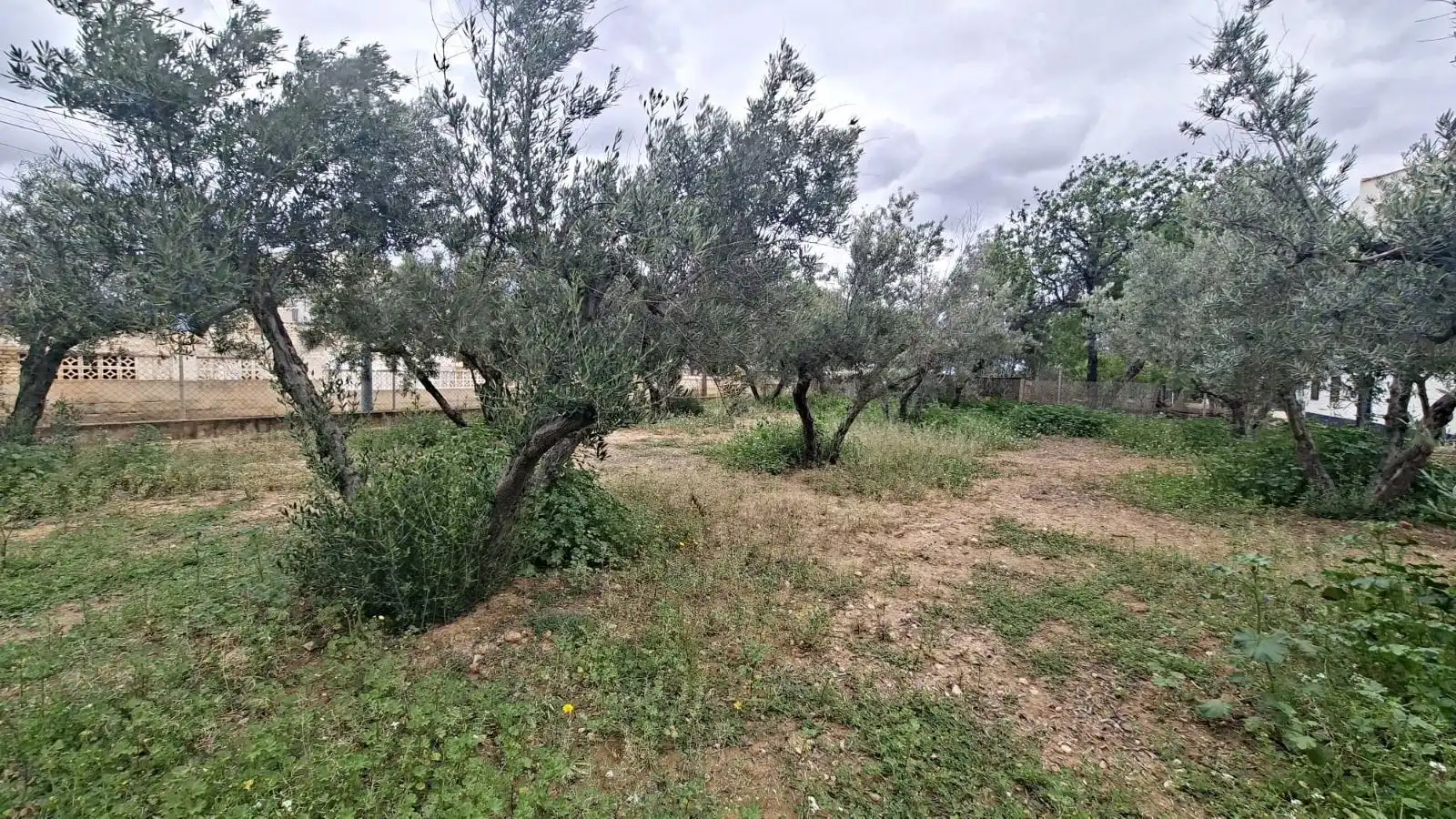 Wohnbaugrundstück zum Verkauf in CABO PALOS-RB ROLLET, imagen 8