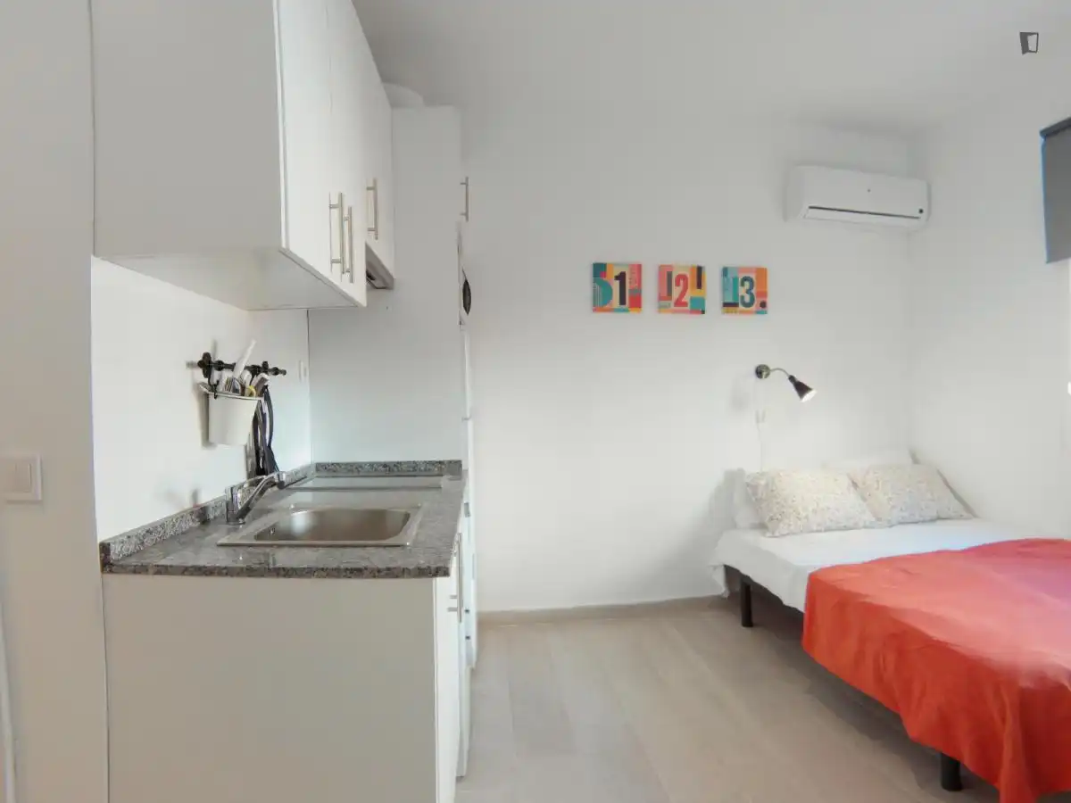 Estudio de alquiler en Pradolongo