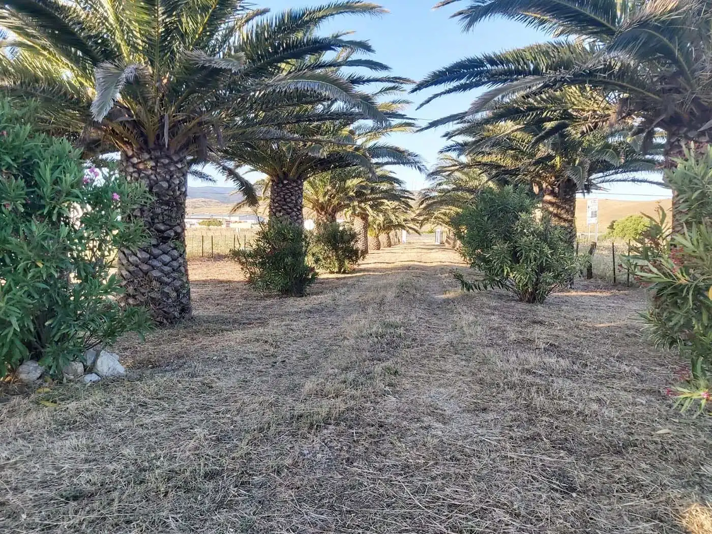 Terreno rustico in vendita a Tarifa ciudad, imagen 7