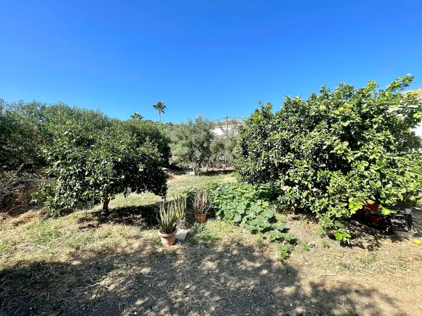 Finca rústica en venda a poligono, 14, Valle Romano Golf