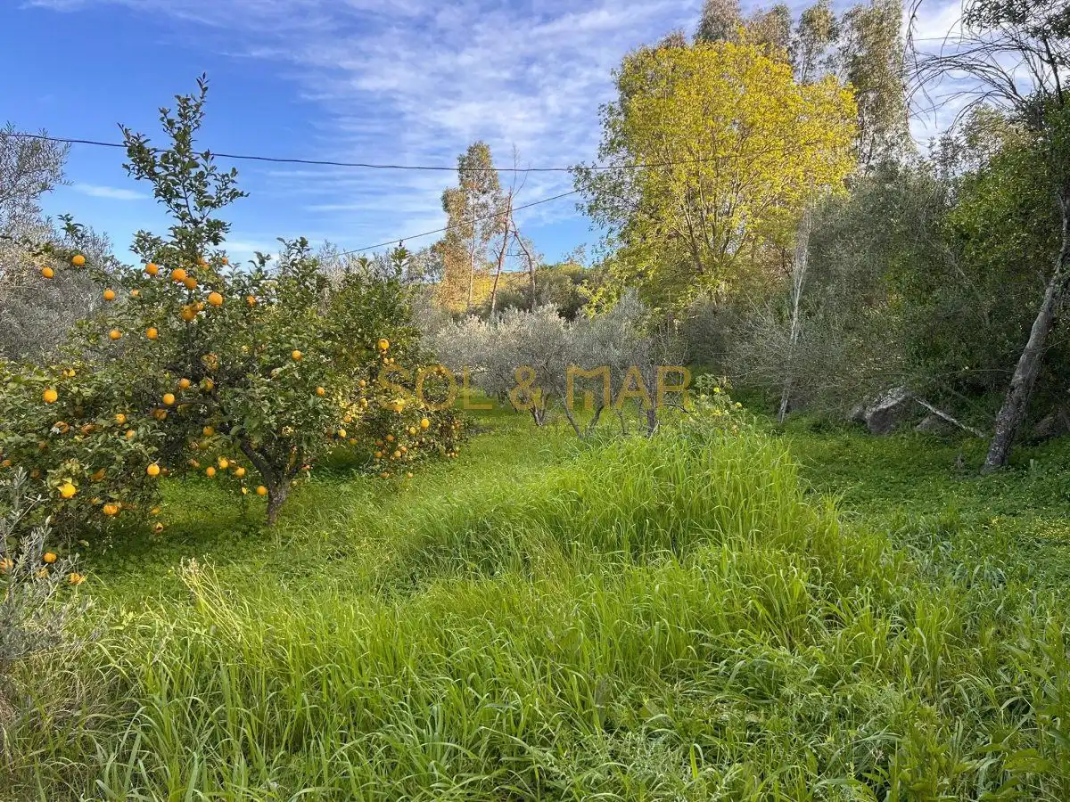 Casa rústica en venta en Nueva Aljaima - Las Tres Leguas - Los Mondeños, imagen 4