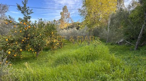 Foto 2 de Finca rústica en venta en N/a, Nueva Aljaima - Las Tres Leguas - Los Mondeños, Cártama