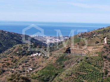 Terrenys i solars en venda a Arenas