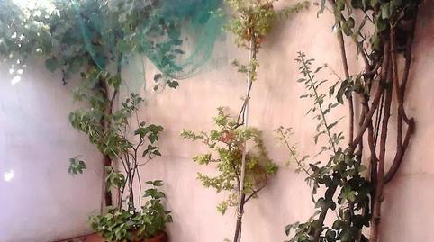 Foto 5 de Casa o chalet en venta en Yuncos, Toledo