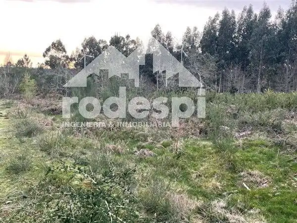 Terreny rústic en venda a A Cañiza, imagen 3