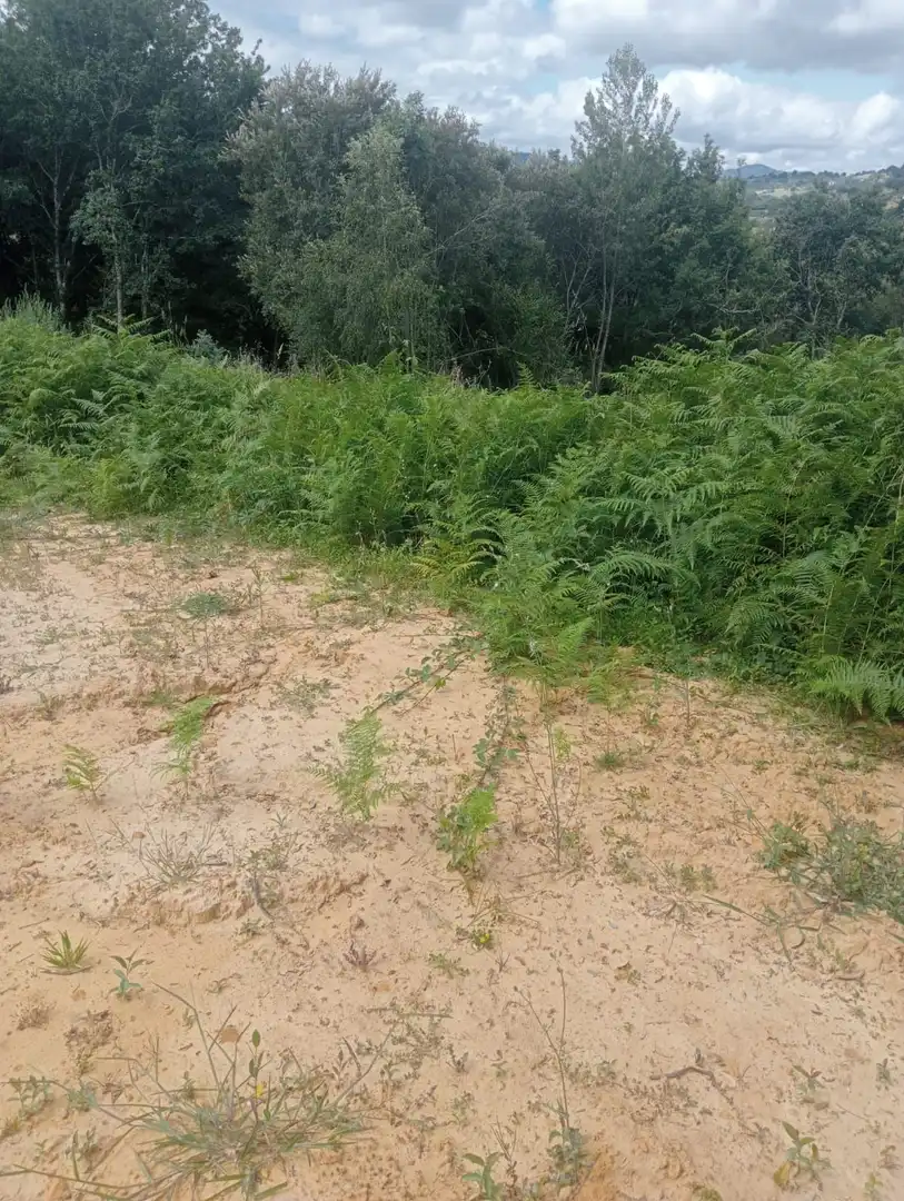 Terrenos y solares en venta en Parres, imagen 3