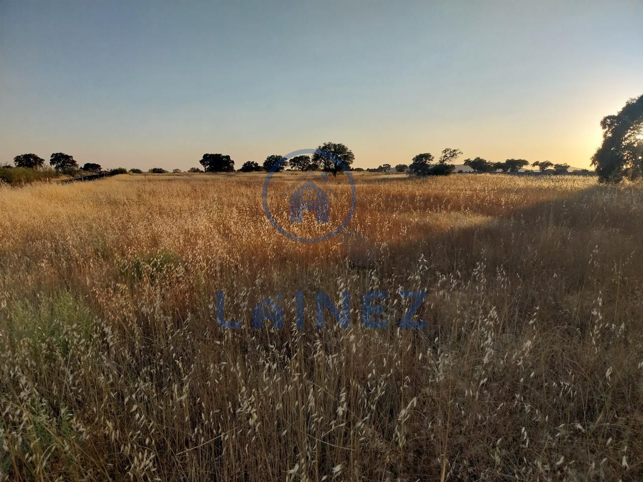 Grundstücke zum verkauf in Valsequillo