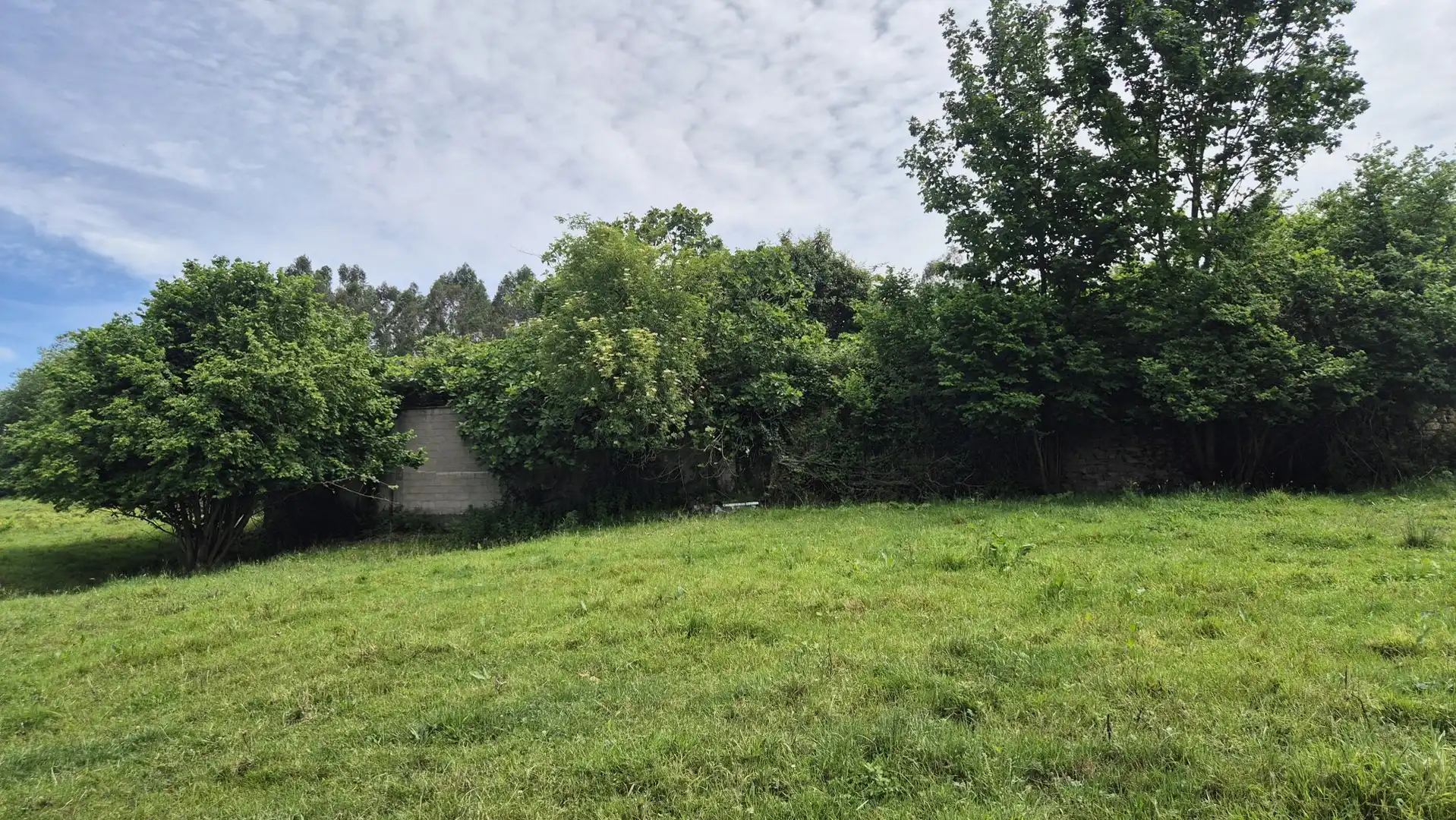 Maison avec jardin à vendre à Parroquias Sur - La Manjoya, imagen 9
