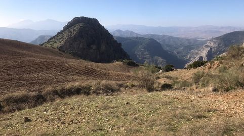 Parcera en Desfiladero de los Gaitanes, immagine 5