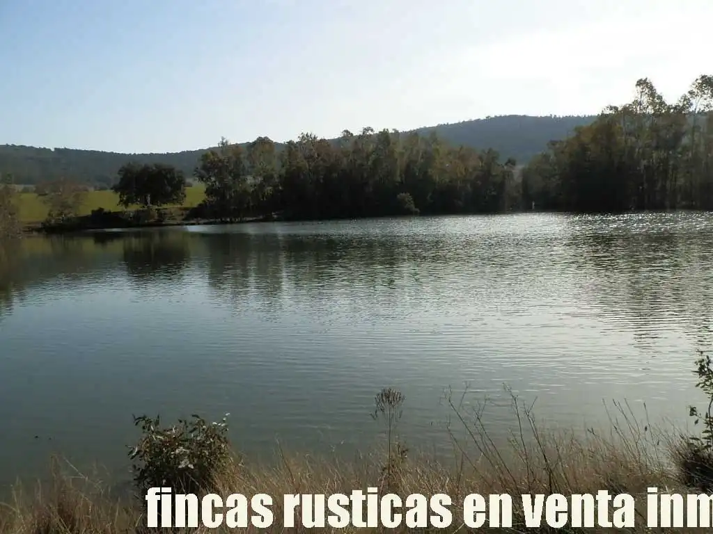 Terreny rústic en venda a Puebla de Don Rodrigo, imagen 15