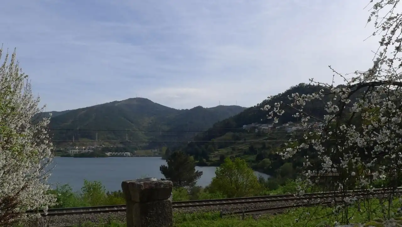 House for sale in Ribadavia, imagen 5