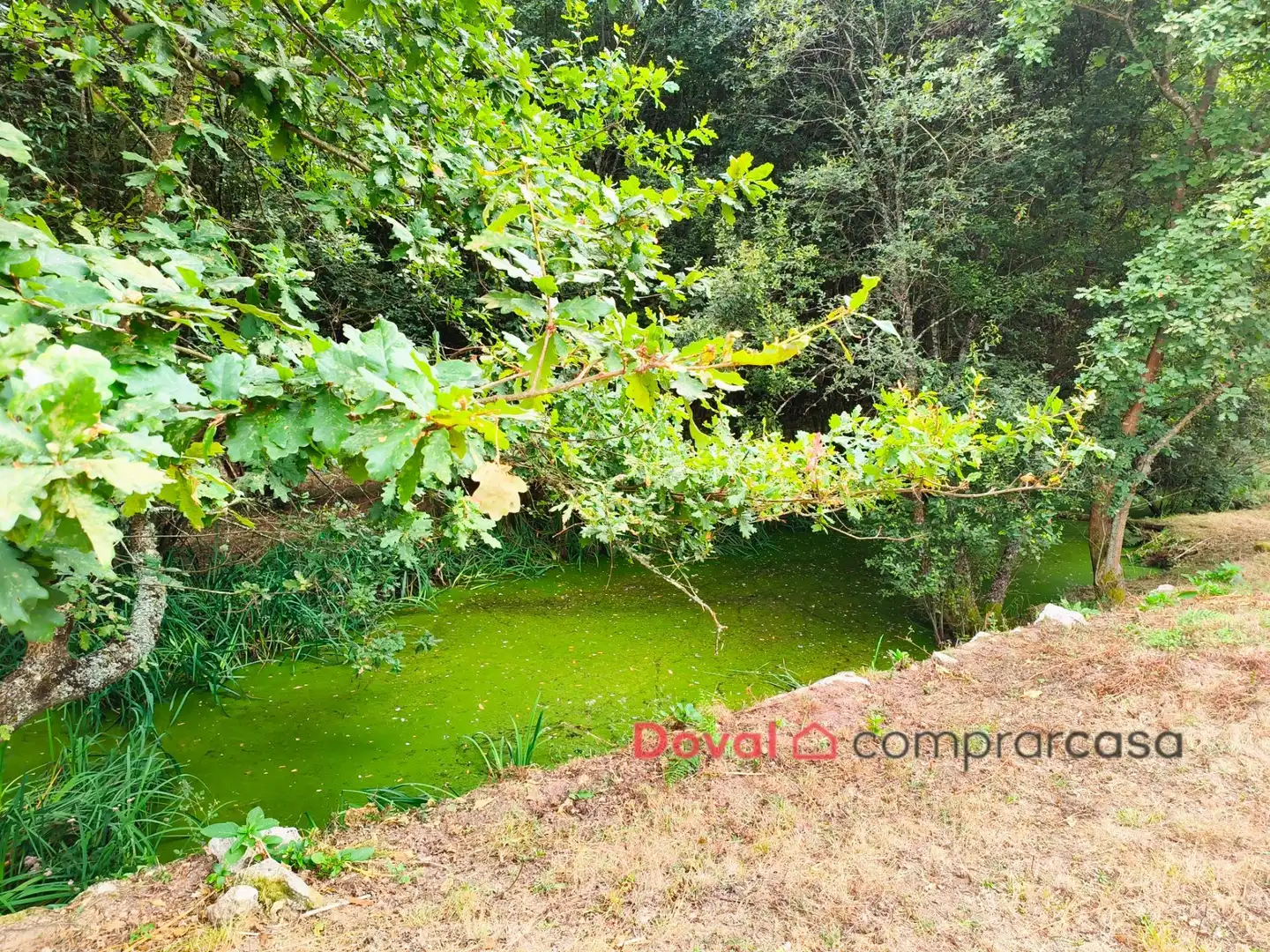 House with garden for sale in Salceda de Caselas, imagen 17