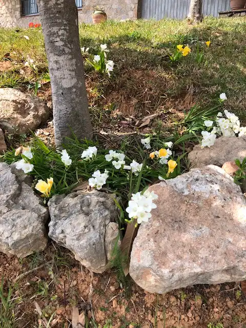 Jardí de Casa o xalet en venda en La Palma de Cervelló amb Aire condicionat, Calefacció i Jardí privat