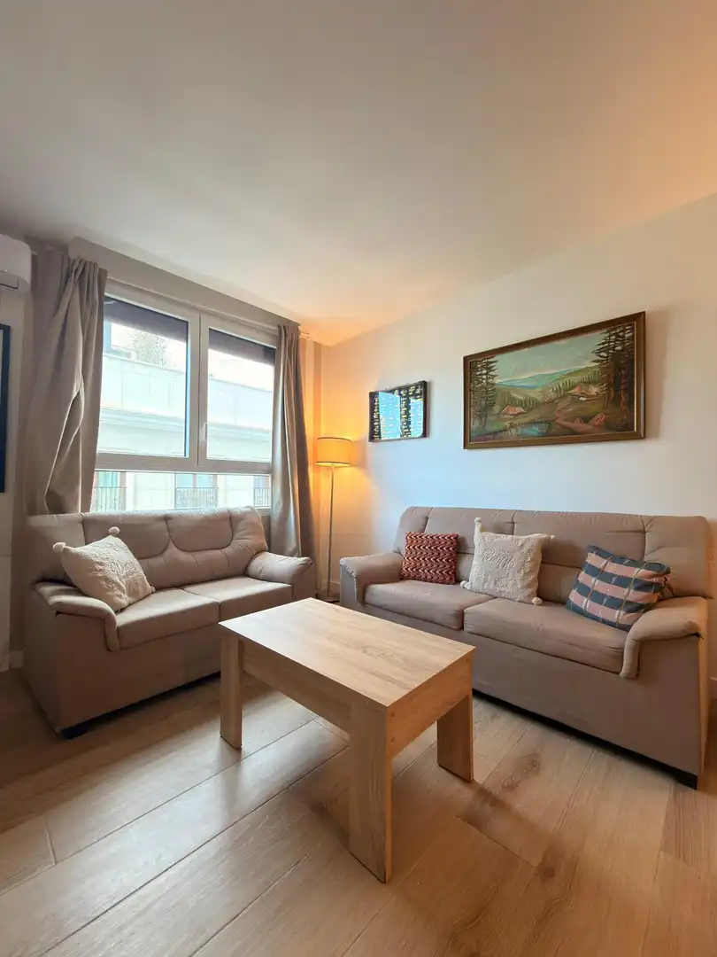 Pis de lloguer a Calle gerona, Barrio del Centro