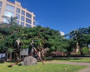 Vista exterior de Pis en venda en Las Palmas de Gran Canaria amb Moblat