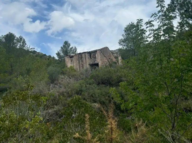 Vista exterior de Terreno en venta en Tivissa