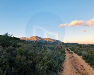 Exterior view of Country house for sale in Tortosa