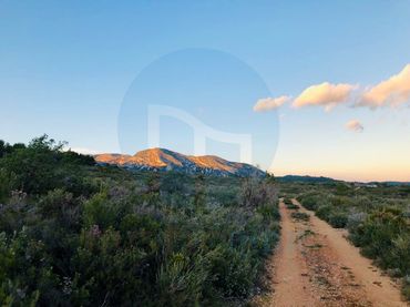 Casa en venta en partida Coll de l'AlbaPoligono 15 Parcelas 18, 19, 22, 27, 28 y 124 de Tortosa