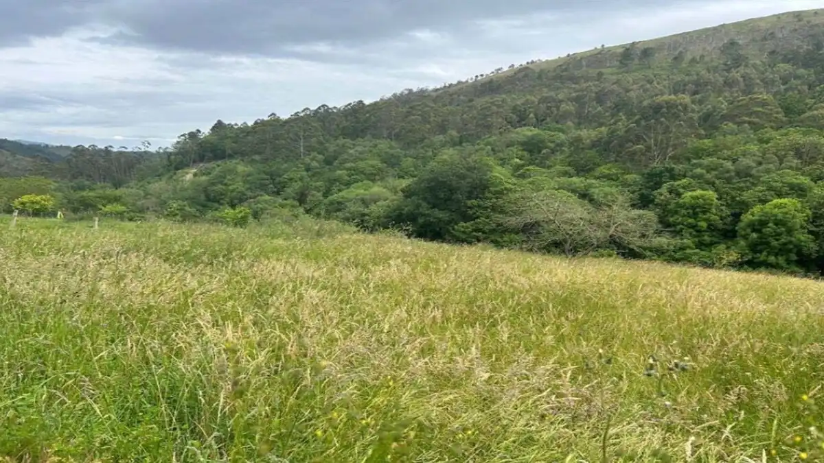 Residencial en venda en Caso