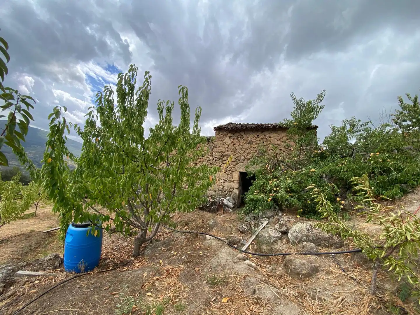 Terrain rustique à vendre à N/A, imagen 19