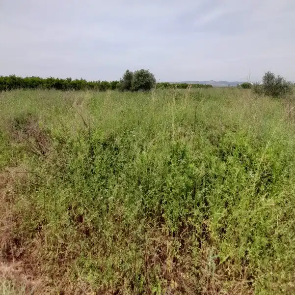 Terreny residencial en venda a Polígono 3, imagen 11