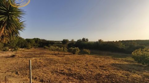 Foto 3 von Grundstücke zum Verkauf in Cartaya, Huelva