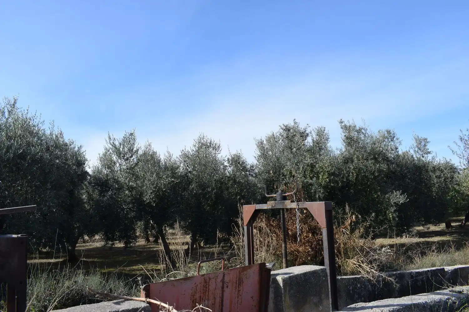 Terreno rustico in vendita a LOS MOLINOS, imagen 15