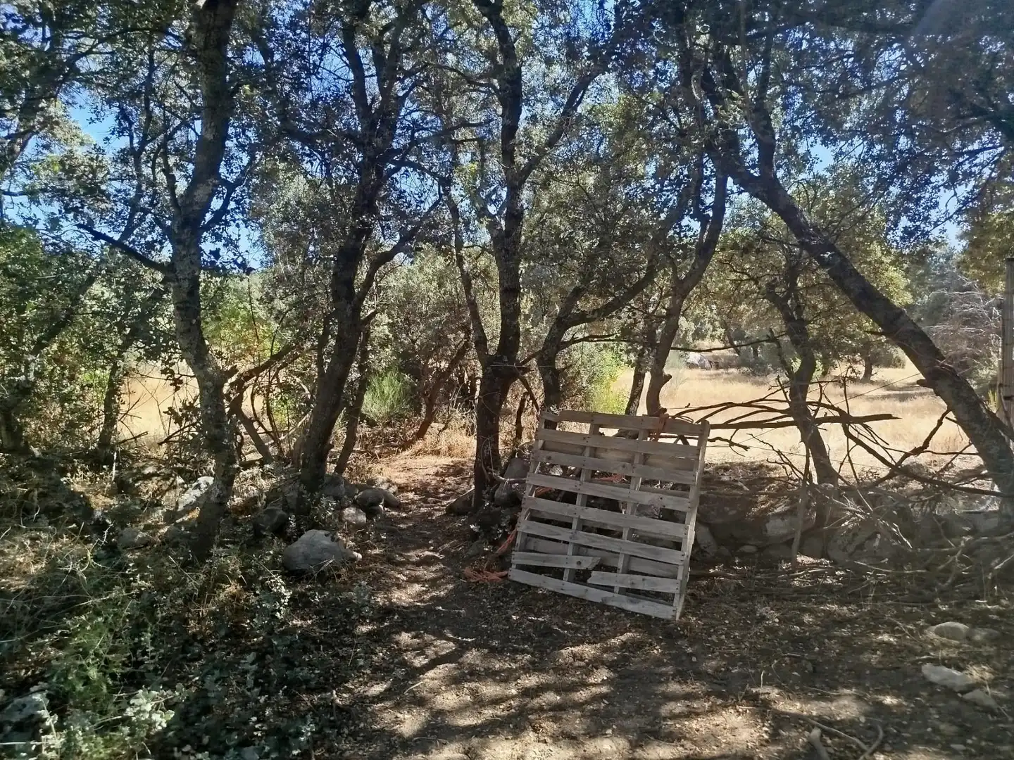 Finca rústica en venta en Fresnedilla, Ávila