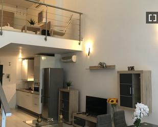 Kitchen of Flat to rent in  Madrid Capital  with Air Conditioner, Heating and Furnished