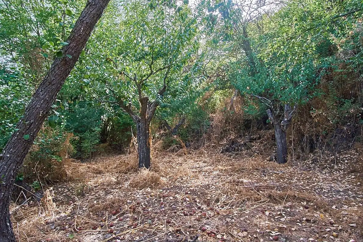 Casa o chalet en venta en Vega de San Mateo con Jardín privado y Terraza